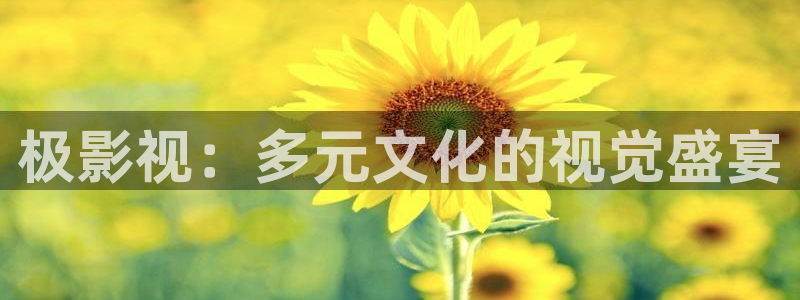 奇优电影伦理片