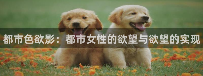 奇优影院在线观看免费高清完整版