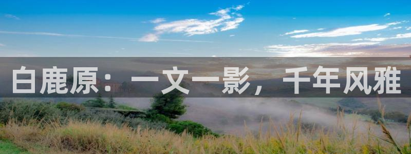 奇优影院手机版第三页