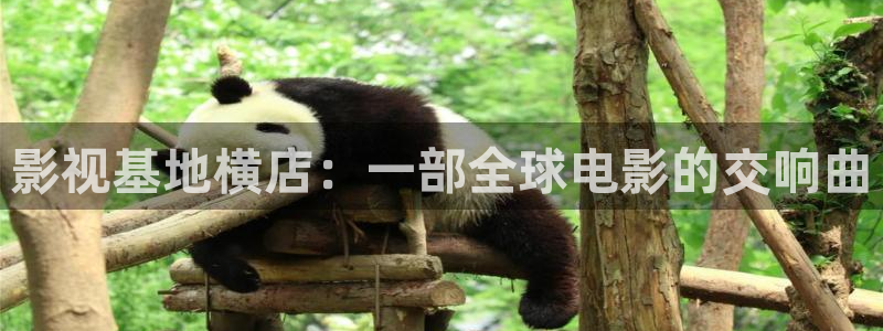 奇优影院第一页理论