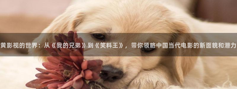 奇优影院新入口网址