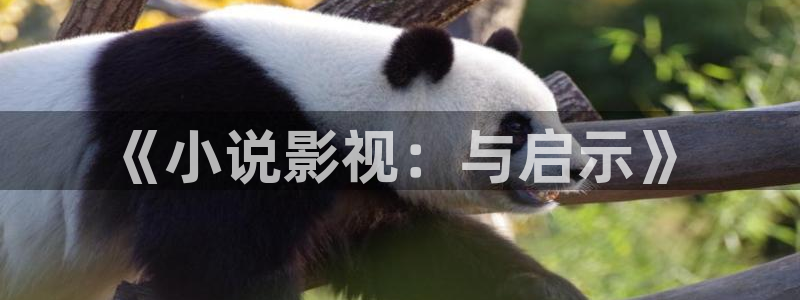奇优影院免费观看电视剧