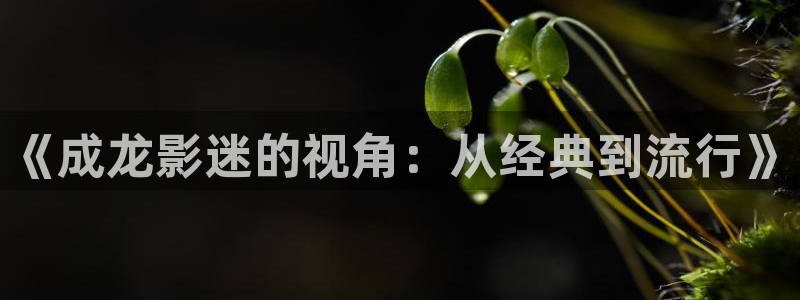 奇优影院 手机在线观看